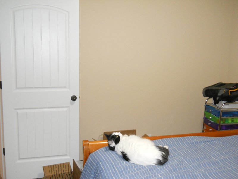 Tims Room3